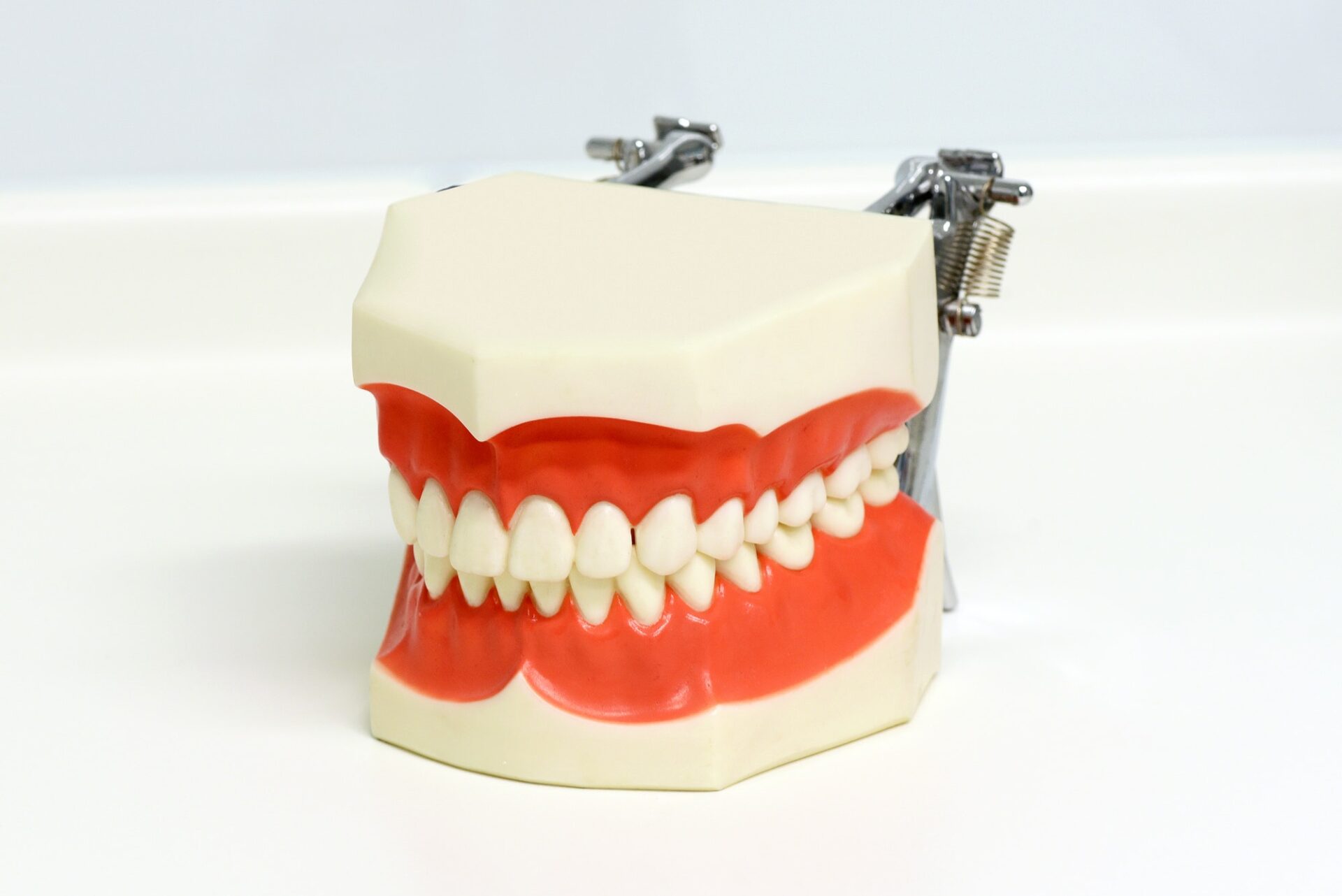 Crane & Seager orthodontics blog post Malocclusion - AKA a Bad Bite Dental model of upper and lower teeth orthodontics, living with braces, common treatments, orthodontist in lovelace colorado, orthodontist in ft. collins colorado, orthodontics for adults children and teens, invisalign in colorado, invisalign in ft. collins, co